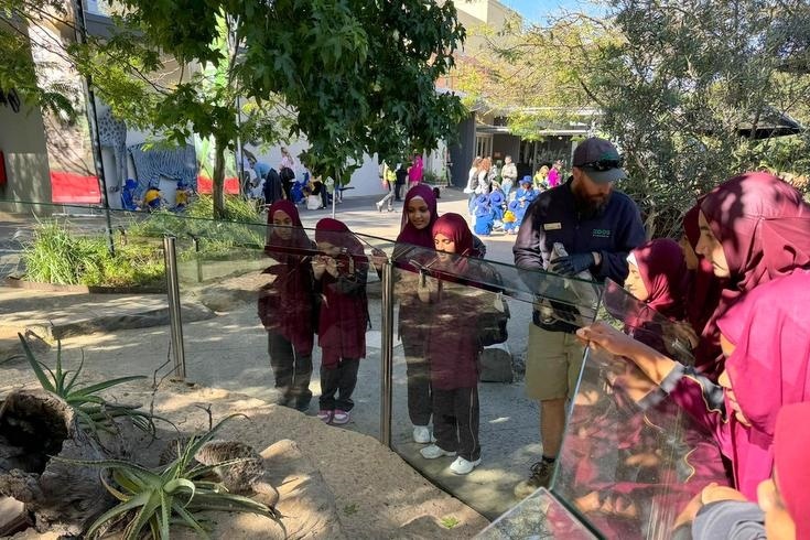 Year 5 Excursion to Melbourne Zoo